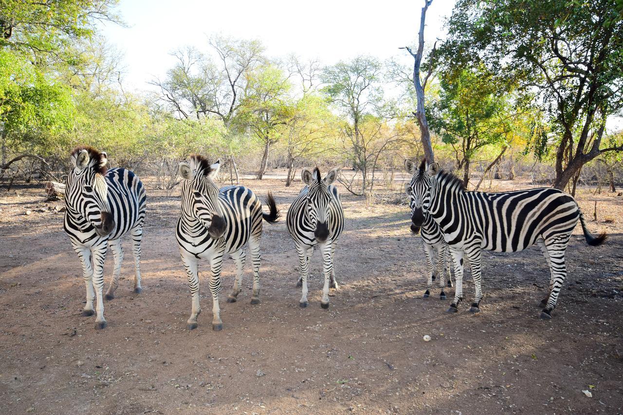 Mananga Bush Villa Skukuza Kültér fotó